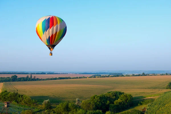 Horkovzdušný Balón Letí Přes Pole Kvetoucími Slunečnicemi — Stock fotografie