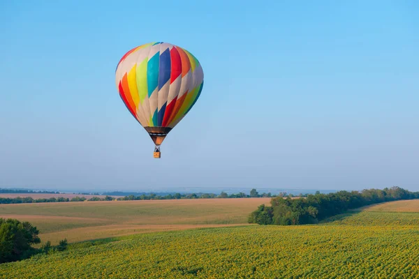 Hőlégballon Repül Mező Felett Virágzó Napraforgókkal — Stock Fotó