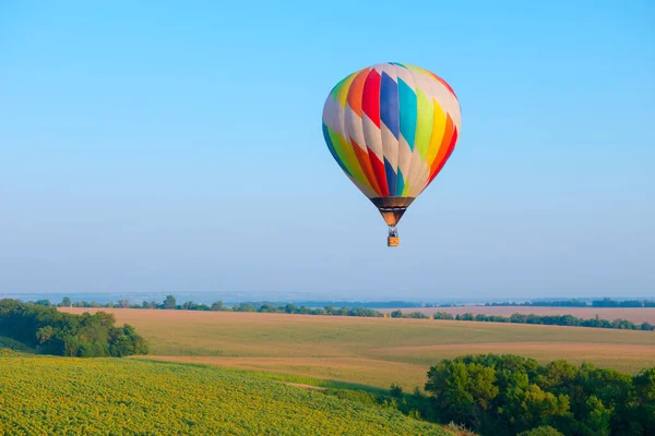 Balão Quente Está Voando Sobre Campo Com Girassóis Florescendo — Fotografia de Stock