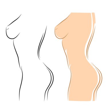 Kadın vücudu, vektör çizimi. Profilde genç bir kadın, çizgi film stili.