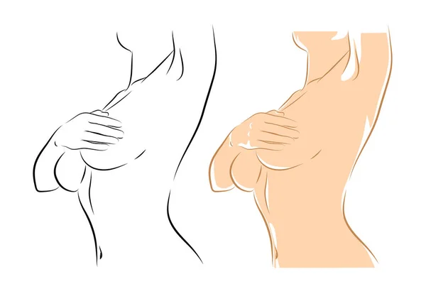 女性身体 病媒图解 年轻女人用手摸着她的乳房 — 图库矢量图片