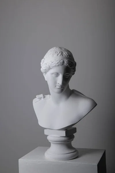 Female plaster statue head in studio over gray background