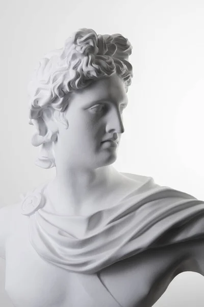 Male plaster statue head in studio over white background
