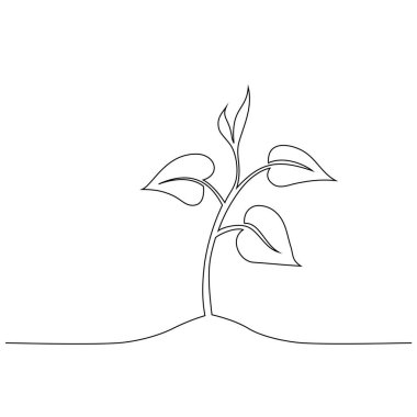 Toprakta yetişen tomurcuklar, büyüyen genç bitkiler, sürekli çizimler, konsept vektör çizimleri.