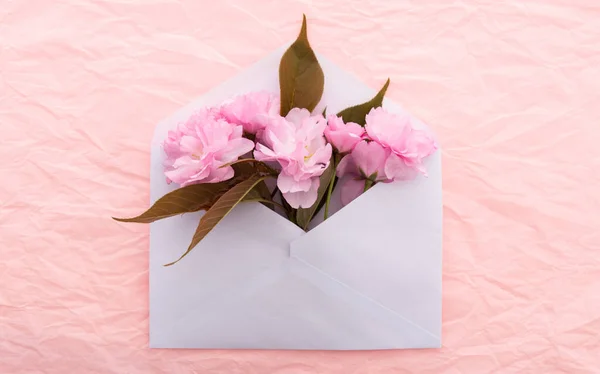 Verdomde Sakura Envelop Met Lentebloemen Roze Gerimpelde Decoratieve Papieren Achtergrond — Stockfoto