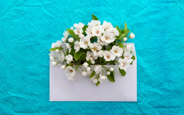 Kirschbaum Umschlag Mit Frühlingsblumen Über Blau Zerknülltem Zierpapier Hintergrund Frühjahrskonzept — Stockfoto