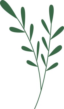 Noel Çiçeği Yaprakları ve Yaprakları. Vektör illüstrasyonu