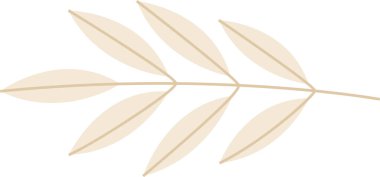 Noel Çiçeği Yaprakları ve Yaprakları. Vektör illüstrasyonu