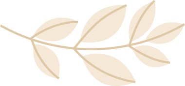 Noel Çiçeği Yaprakları ve Yaprakları. Vektör illüstrasyonu