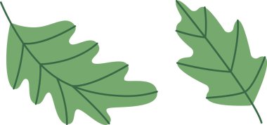 Noel Çiçeği Yaprakları ve Yaprakları. Vektör illüstrasyonu