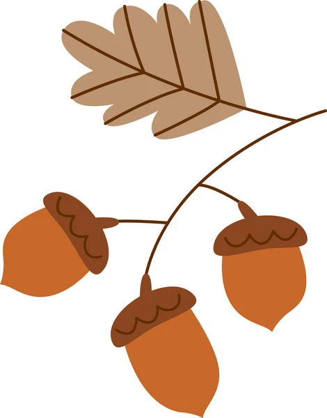 Autumn Acorn Drzewa Dębowego Ilustracja Wektora — Wektor stockowy
