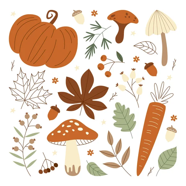 Autumn Botanical Nature Vector Illustration Set — Stock Vector