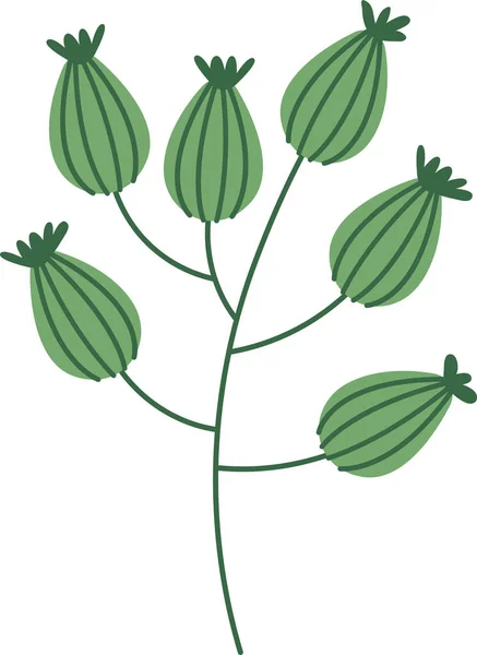 Christmas Foliage Berry Holly Mistletoe Vector Illustration — Stock Vector