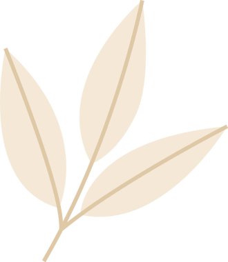 Noel Çiçeği Yaprakları ve Yaprakları. Vektör illüstrasyonu