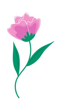 Çiçek sapı çiçekli bitkisel iz