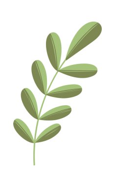 Yaprak söğüt dalı Paskalya bahar bayramı sembolü