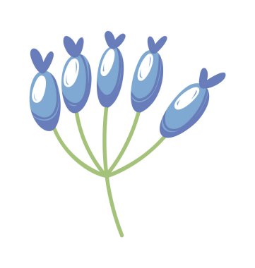 Yabanmersini sapı doğal dekoratif mevsimsel tasarım elementi