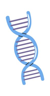Elle çizilmiş DNA molekülü sarmal gen yapısı karalaması