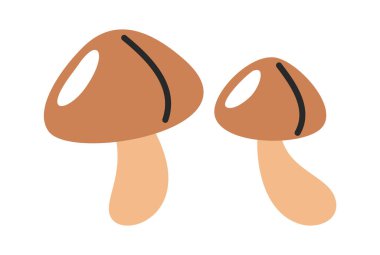 El yapımı taze kahverengi orman mantarları mevsimlik yiyecekler