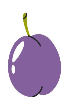 Elle çizilmiş erik meyvesi. Doğal yiyecek.