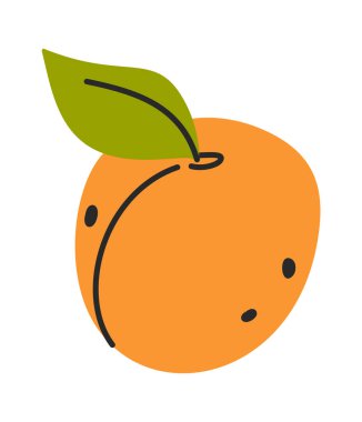 Tüm el kayısı meyveli organik besin.