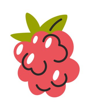 El çizilmiş tatlı sulu, olgun kırmızı ahududu