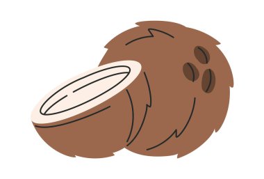 El yapımı Hindistan cevizi, egzotik meyve, tropikal yiyecekler.