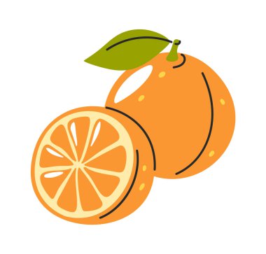 El çizimi turuncu turunçgil meyveli vitamin yiyeceği.