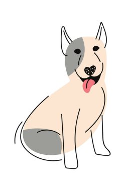 Pitbull, el yapımı köpek evcil hayvanı.