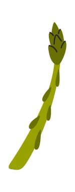 Kuşkonmaz sapı elle çizilmiş vejetaryen yiyecekler.