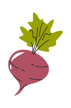 Pancar taze sebze elle tarımsal gıda çekiliyor.