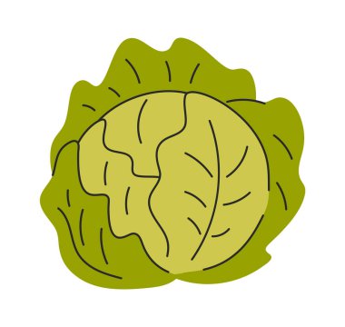 Lahana vitamini yiyecekler, sebze ürünleri.