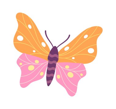 Renkli kelebek çizgi film dekoratif yaz böceği tasarımı