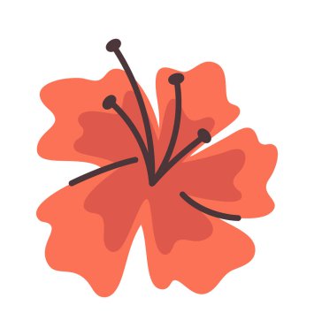 Kırmızı tropikal amber çiçeği tomurcuğu el çizimi