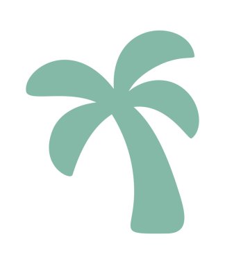 Palmiye ağacı tropikal bitki plaj doğası