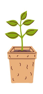 El yapımı çömlek tohumlama ögesi