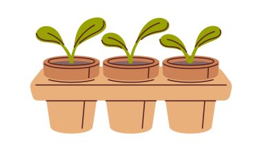 El çizimi saksıda filizlenmiş filizlenme tepsisi