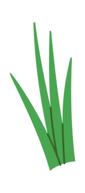 Yeşil çimen çizgi film etiket tasarımı eko rozeti