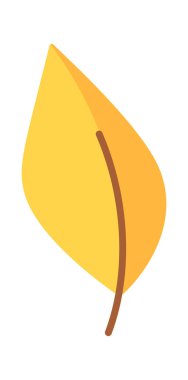 Sarı sonbahar yaprağı kurumuş düşmüş botanik elementi