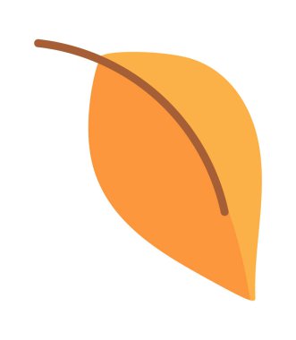 Sonbahar yaprakları, doğal sonbahar orman tasarımı.