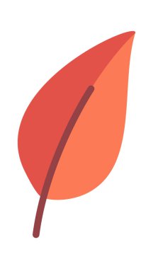 Düşmüş kavak yaprağı tasarımı elementi sonbahar yaprakları