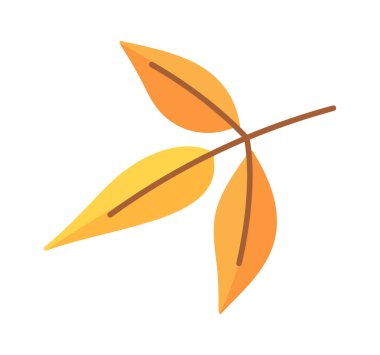 Mevsimlik düşen yaprak dalı dekoratif tasarım elementi