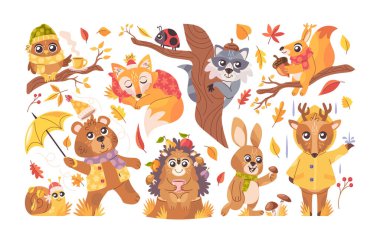 Tatlı sonbahar hayvanı, düşmüş yaprakları ve kuru sarı çimen dekorasyonu olan kuş ve böcek karakterleri. Komik ayı, baykuş, tilki, rakun, sincap, geyik, salyangoz, kirpi, tavşan vektör çizimi