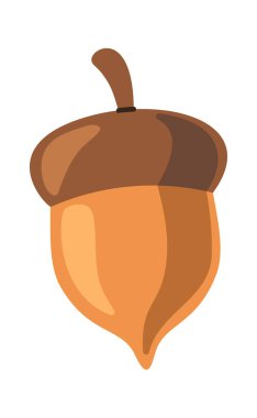 Meşe ağacı tohumu sonbahar tasarım elementi