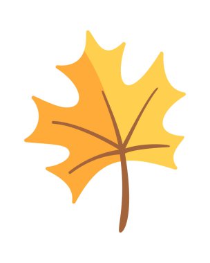 Sarı akçaağaç yaprağı sonbahar Şükran Günü tasarım elementi