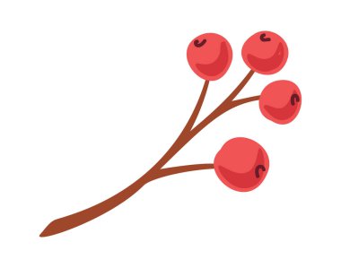 Sonbahar Kırmızı Rowan meyveleri Şükran Günü tasarım elementi