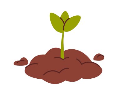 Gübre sürdürülebilir bahçıvanlığından filizlenen bitkiler.