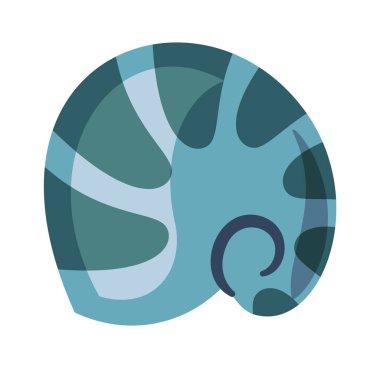 Nautilus deniz kabuğu egzotik su tasarım elementi