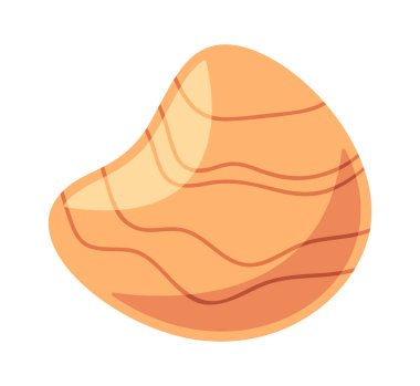 Su altı midyeleri deniz kabuğu elementleri.