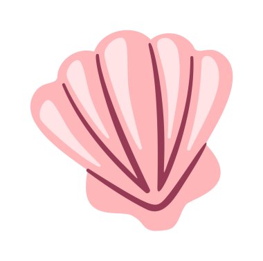 Egzotik deniz kabuğu pembe renk elementi